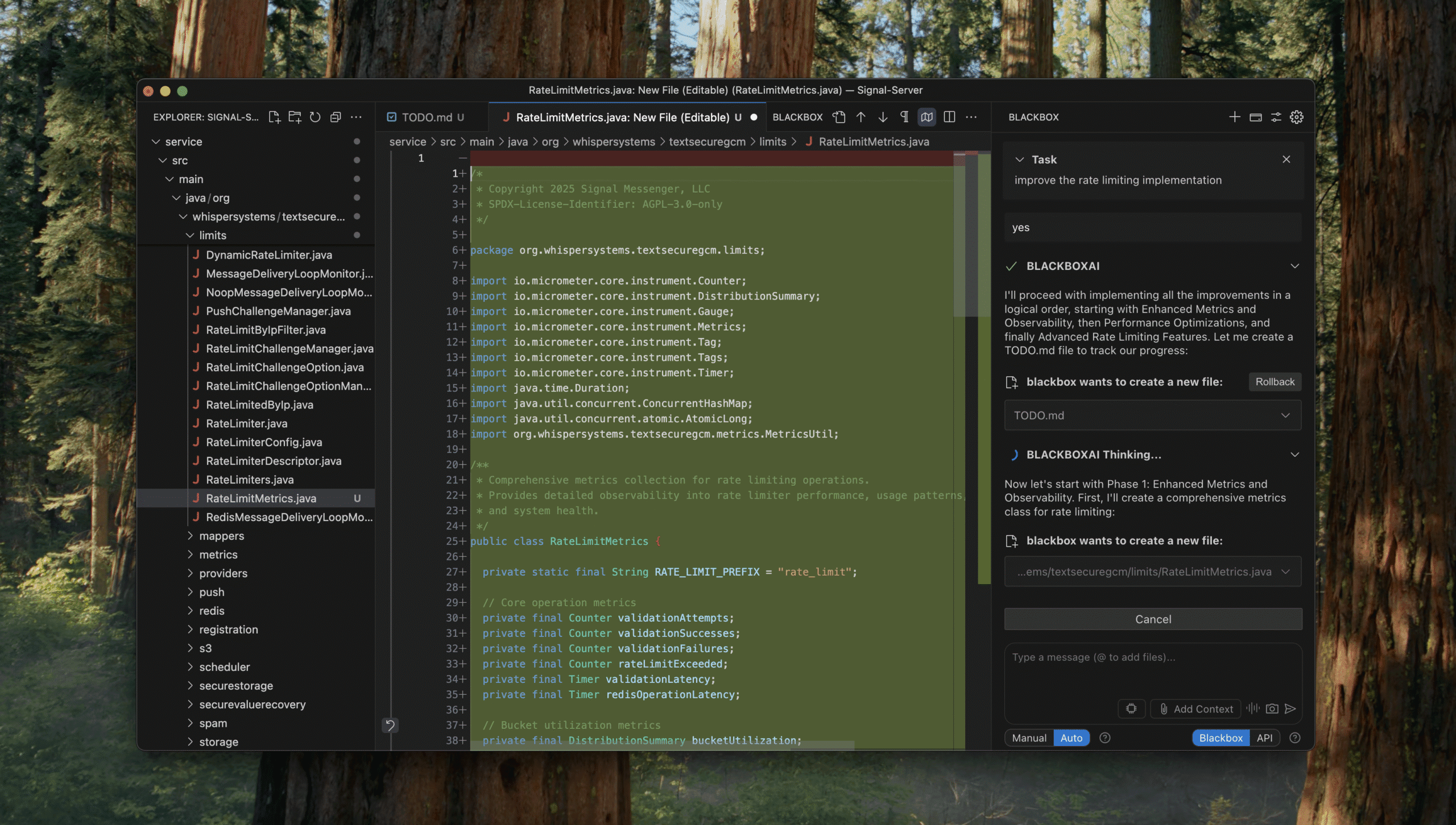blackbox ai interface scaled
